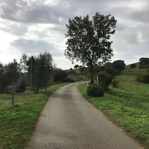 Casa vacanze Podere Pini, Magliano in Toscana